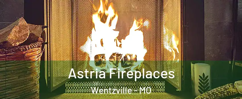  Astria Fireplaces Wentzville - MO