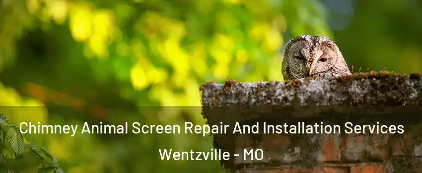  Chimney Animal Screen Repair And Installation Services Wentzville - MO