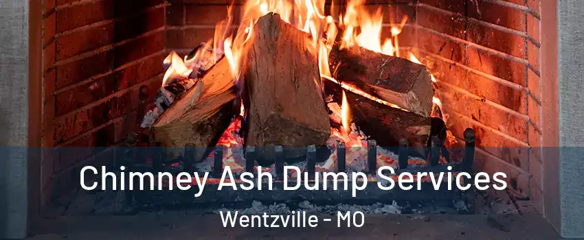  Chimney Ash Dump Services Wentzville - MO