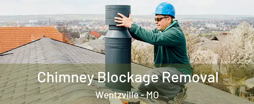  Chimney Blockage Removal Wentzville - MO