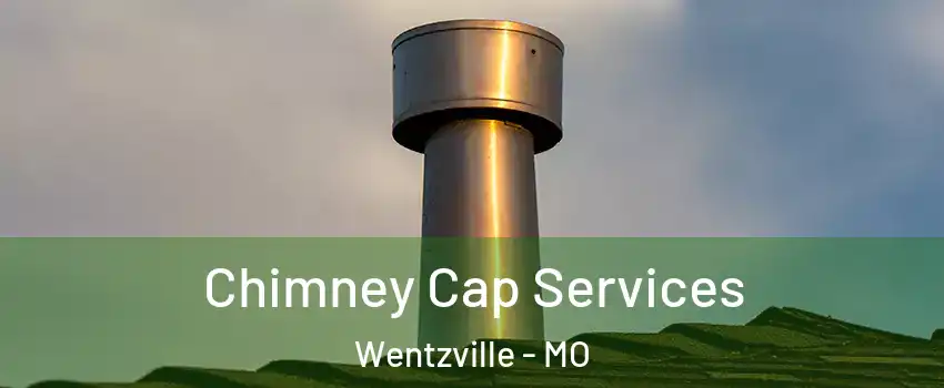  Chimney Cap Services Wentzville - MO