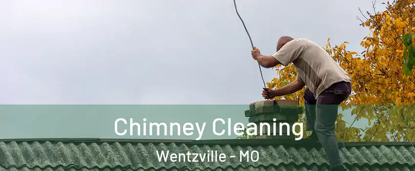  Chimney Cleaning Wentzville - MO