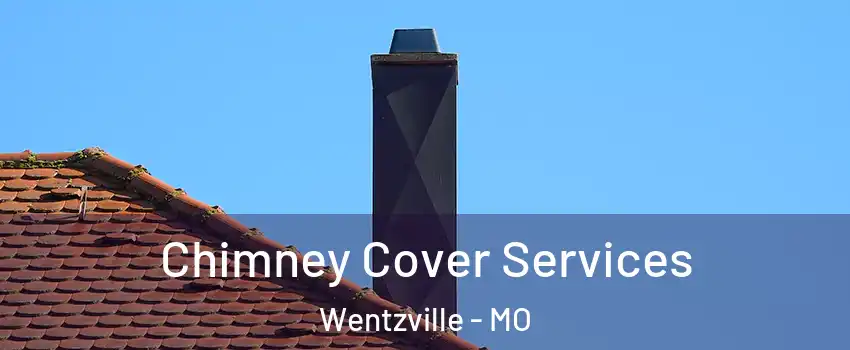  Chimney Cover Services Wentzville - MO