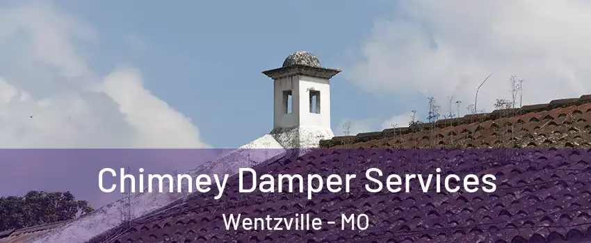  Chimney Damper Services Wentzville - MO