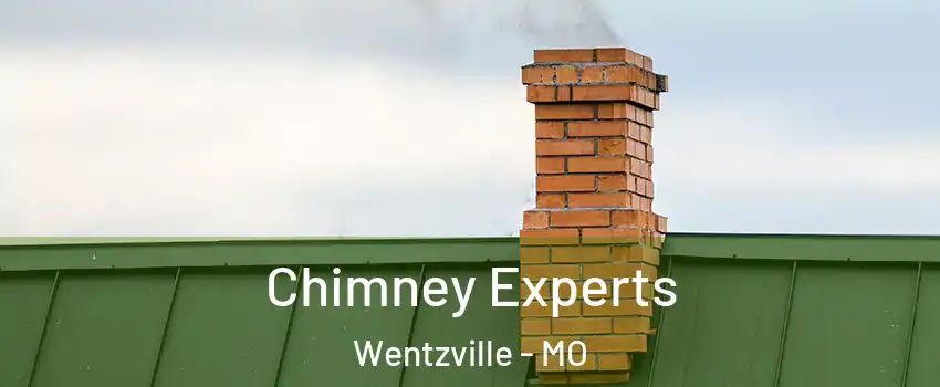  Chimney Experts Wentzville - MO