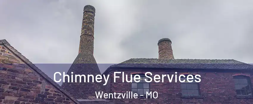  Chimney Flue Services Wentzville - MO