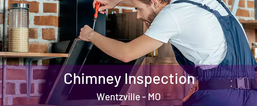  Chimney Inspection Wentzville - MO