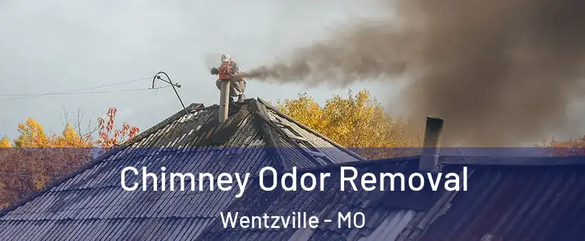  Chimney Odor Removal Wentzville - MO