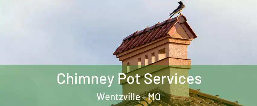  Chimney Pot Services Wentzville - MO