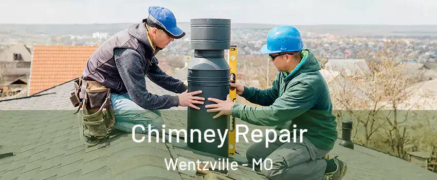  Chimney Repair Wentzville - MO