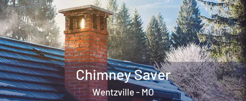  Chimney Saver Wentzville - MO