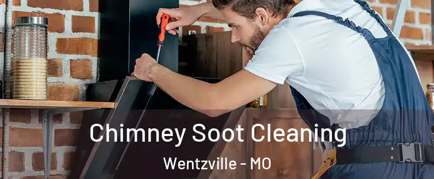  Chimney Soot Cleaning Wentzville - MO