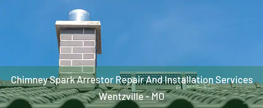  Chimney Spark Arrestor Repair And Installation Services Wentzville - MO