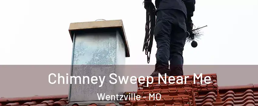  Chimney Sweep Near Me Wentzville - MO
