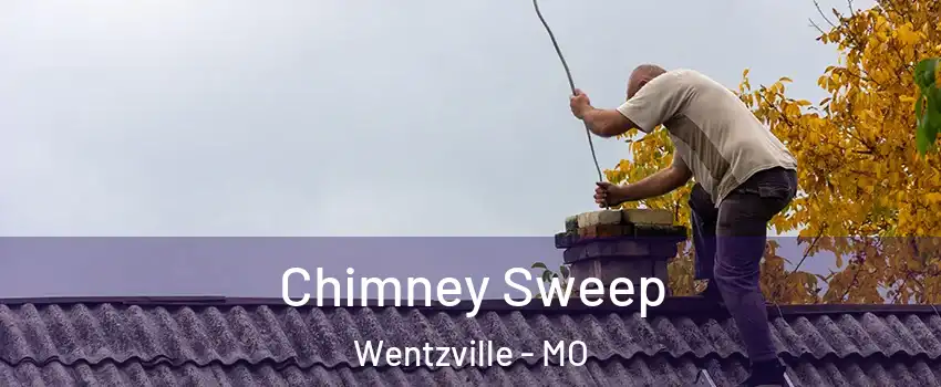  Chimney Sweep Wentzville - MO