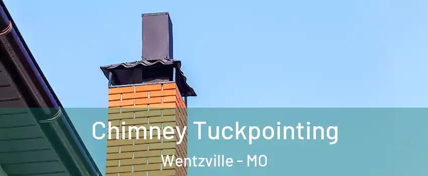  Chimney Tuckpointing Wentzville - MO
