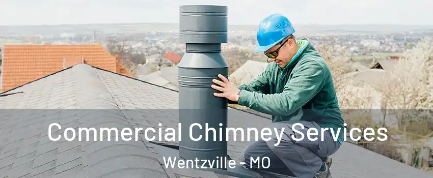  Commercial Chimney Services Wentzville - MO