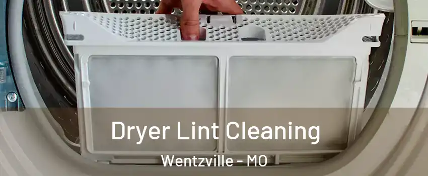  Dryer Lint Cleaning Wentzville - MO