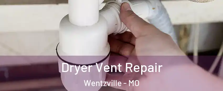  Dryer Vent Repair Wentzville - MO