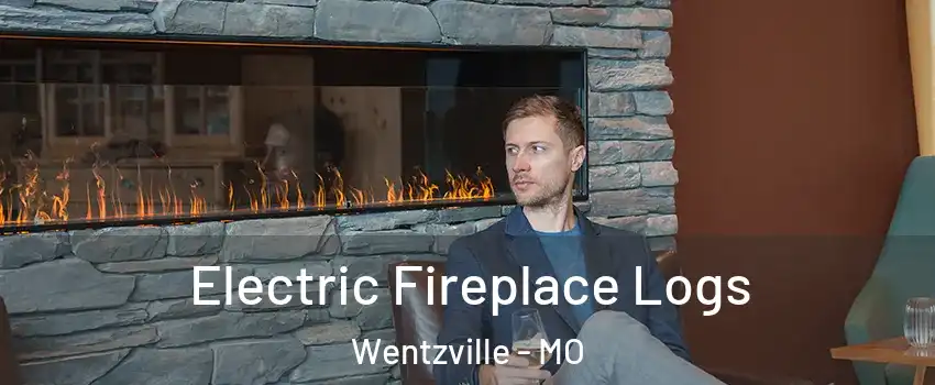  Electric Fireplace Logs Wentzville - MO