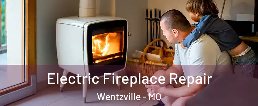 Electric Fireplace Repair Wentzville - MO