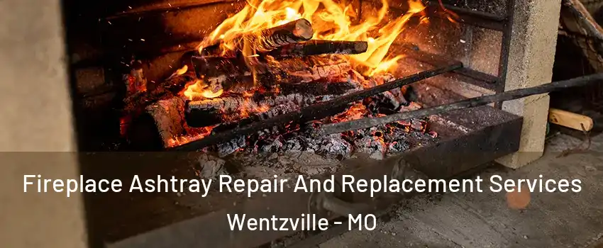  Fireplace Ashtray Repair And Replacement Services Wentzville - MO