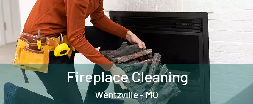  Fireplace Cleaning Wentzville - MO