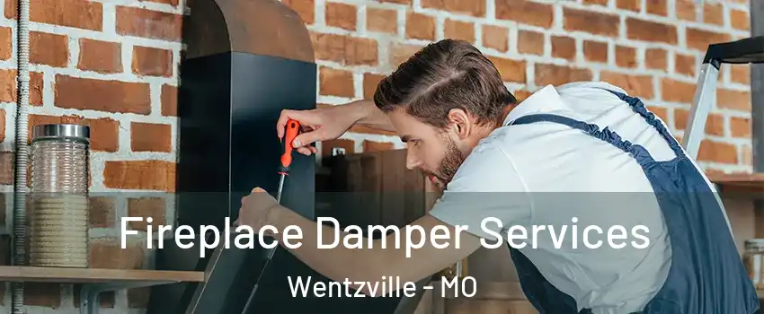  Fireplace Damper Services Wentzville - MO