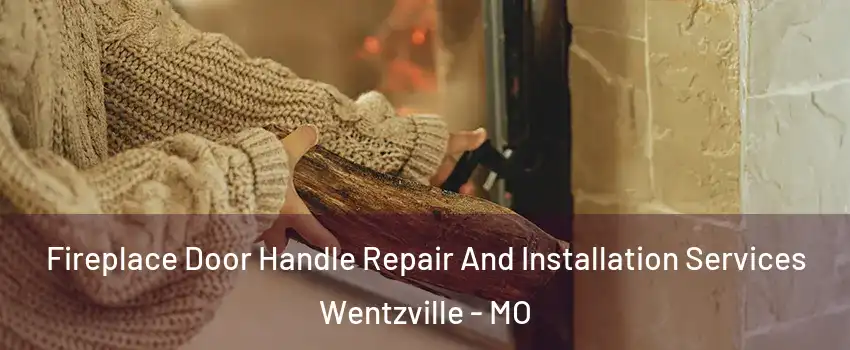  Fireplace Door Handle Repair And Installation Services Wentzville - MO