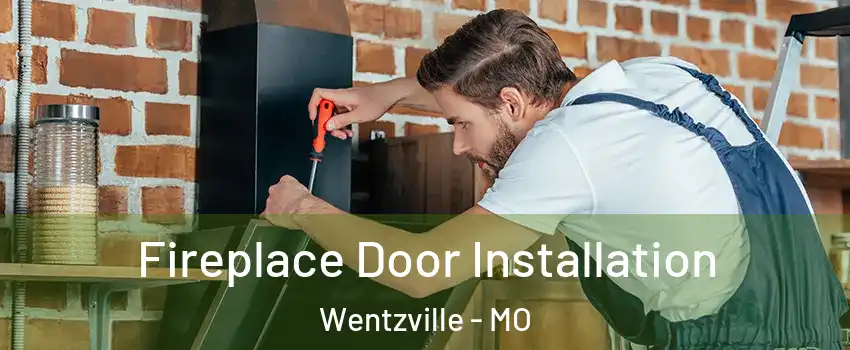  Fireplace Door Installation Wentzville - MO