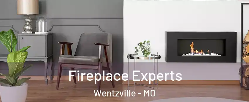  Fireplace Experts Wentzville - MO