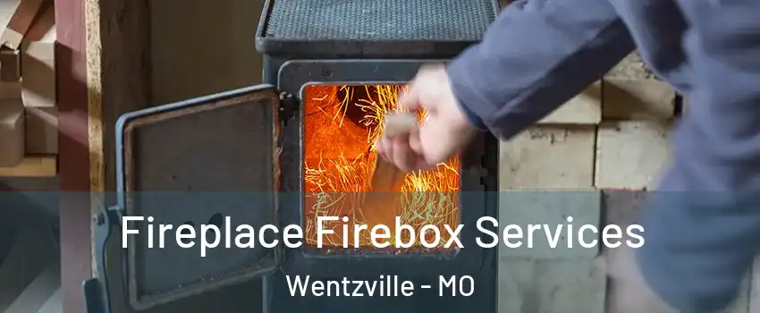  Fireplace Firebox Services Wentzville - MO