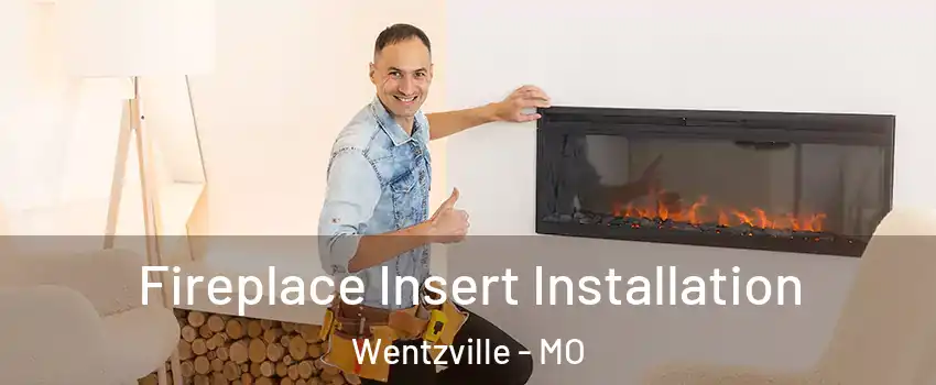  Fireplace Insert Installation Wentzville - MO