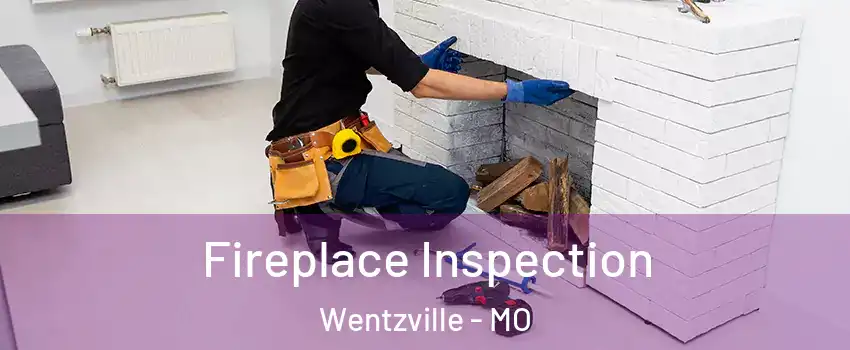  Fireplace Inspection Wentzville - MO