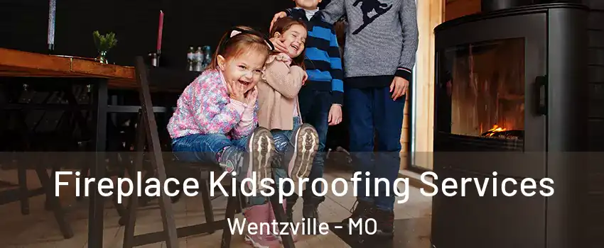  Fireplace Kidsproofing Services Wentzville - MO
