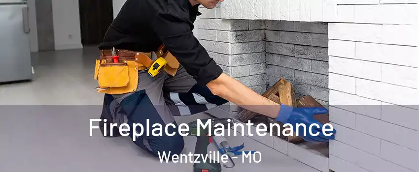  Fireplace Maintenance Wentzville - MO