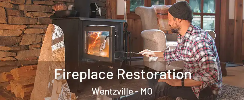  Fireplace Restoration Wentzville - MO