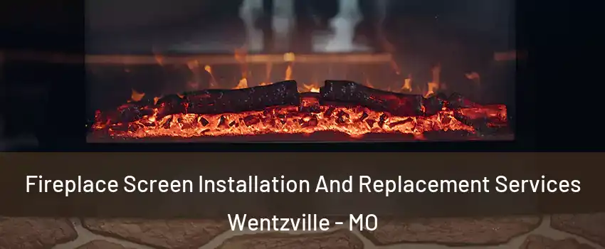  Fireplace Screen Installation And Replacement Services Wentzville - MO