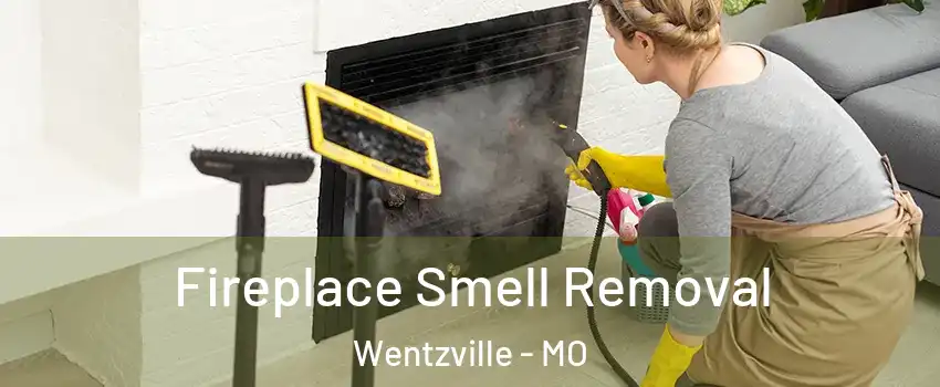  Fireplace Smell Removal Wentzville - MO