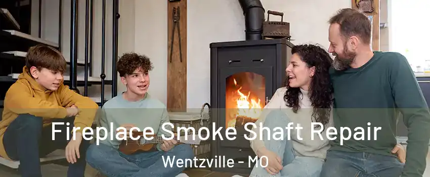 Fireplace Smoke Shaft Repair Wentzville - MO