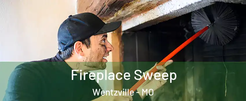  Fireplace Sweep Wentzville - MO