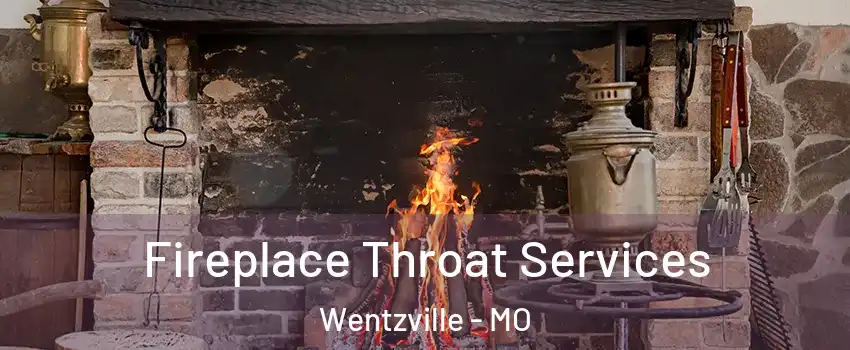  Fireplace Throat Services Wentzville - MO