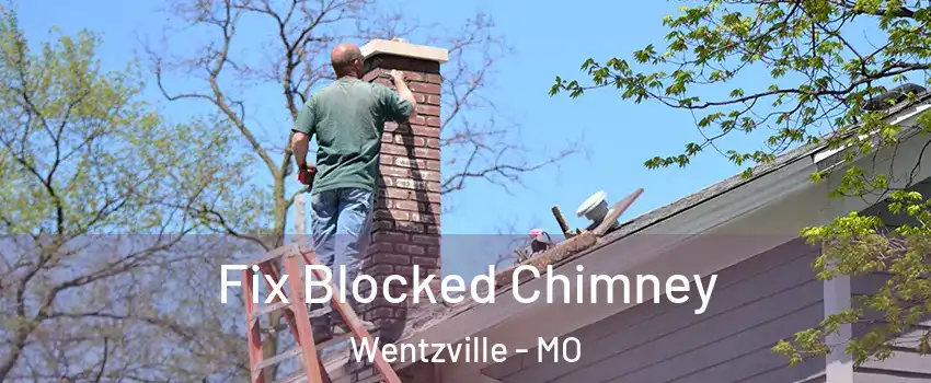  Fix Blocked Chimney Wentzville - MO