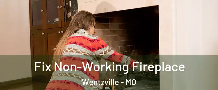  Fix Non-Working Fireplace Wentzville - MO