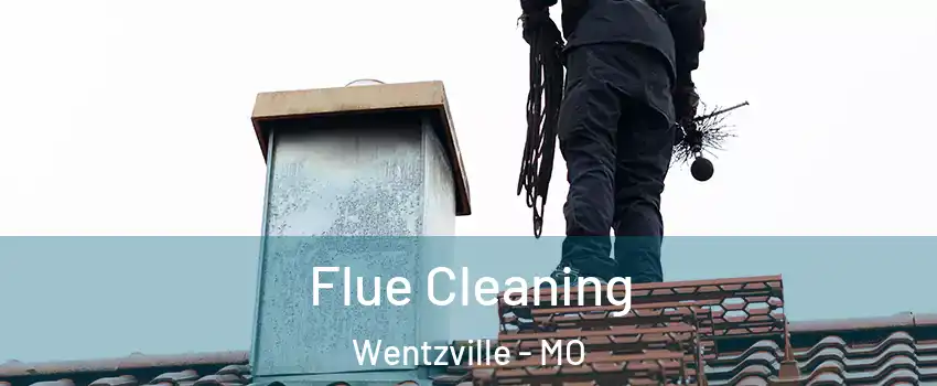  Flue Cleaning Wentzville - MO
