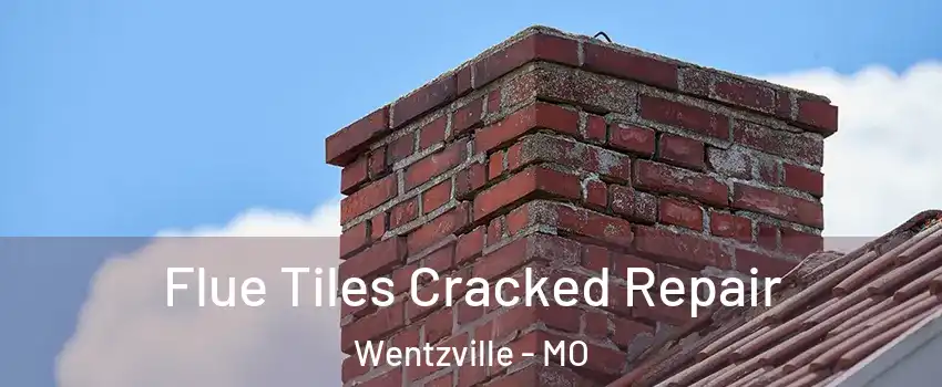  Flue Tiles Cracked Repair Wentzville - MO