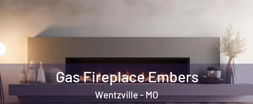  Gas Fireplace Embers Wentzville - MO