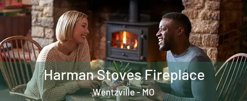  Harman Stoves Fireplace Wentzville - MO