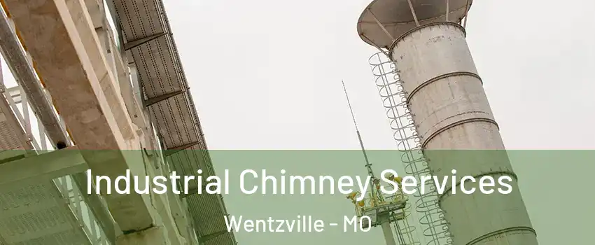  Industrial Chimney Services Wentzville - MO