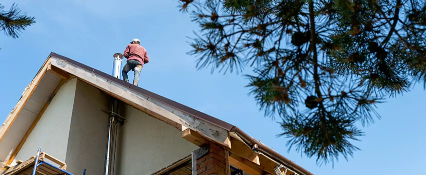 Birds Removal Contractors from Chimney in Wentzville, MO